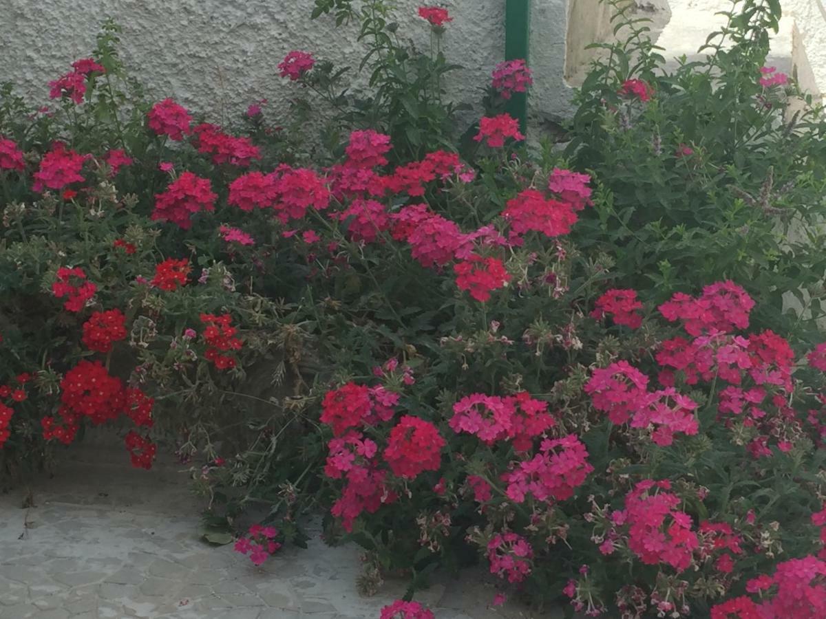 Apartamento Casa Sul Mare - Wifi Free - Parcheggio Privato San Foca Exterior foto